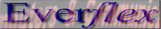 Welcome to everflex.net and web68 hosting services